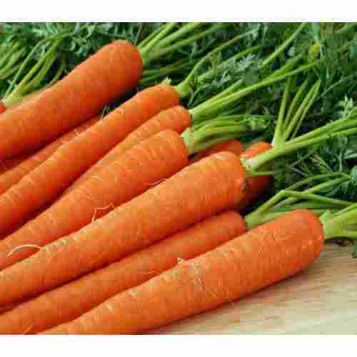 High Fiber Chemical Free Healthy Natural Rich Taste Organic Red Fresh Carrot