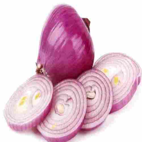 Enhance The Flavor Rich Healthy Natural Taste Red Fresh Onion