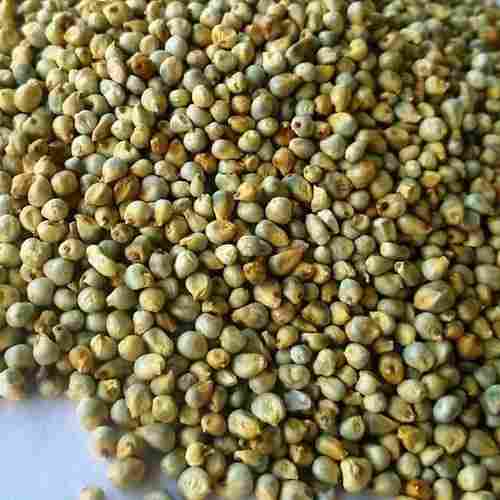 Organic And Green Millet With High In Protien And Rich In Fiber, Omega-3 Fatty Acids