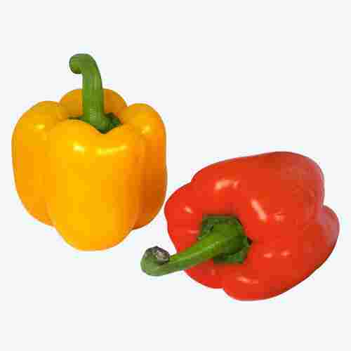 Natural Fine Rich Taste Chemical Free Healthy Organic Fresh Bell Peppers