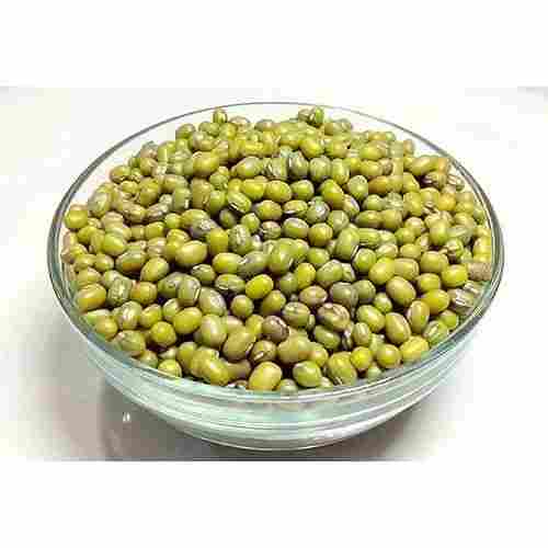 A Grade 100% Pure and Natural Dried Protein Rich Organic Green Gram