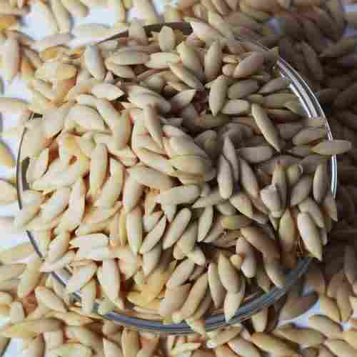 Long Shelf Life FSSAI Certified Healthy Natural Taste Dried Muskmelon Seeds