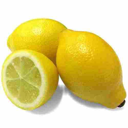 100% Organic Farm Fresh A Grade Seedless Lemon