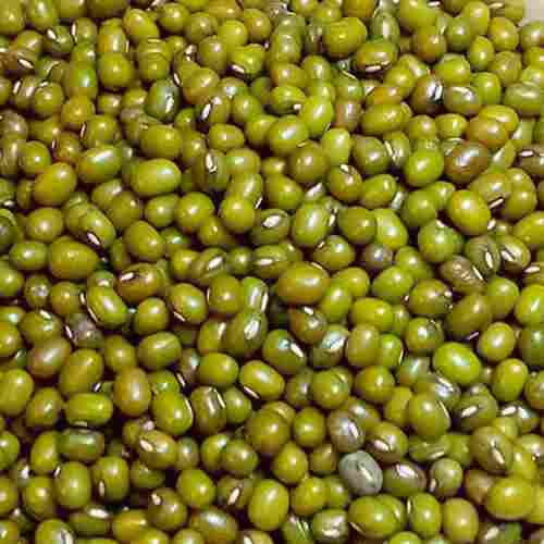 Green Color Organic Whole Moong Dal With High In Protein And 6-12 Months Shelf Life