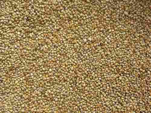 Hybrid Pearl Millet For Cooking(No Artificial Flavour Added)