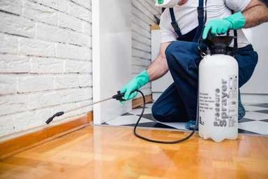 Pest Control Services for Residential And Commercial Buildings