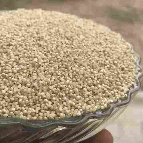 Export Quality Dried And Cleaned Unpolished Gluten Free Barnyard Millet