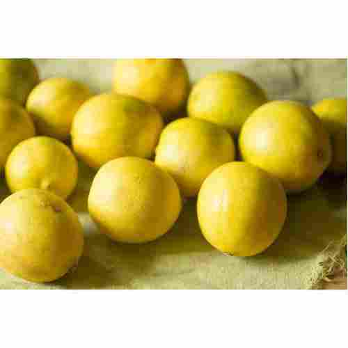 Antioxidants Minerals And Vitamins Enriched Natural And Fresh Organic Lemon