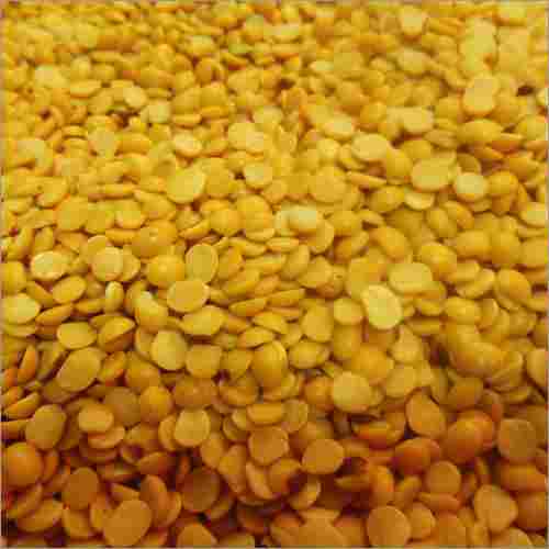 Wholesale Price Export Quality Yellow Color Indian Polished Toor Dal