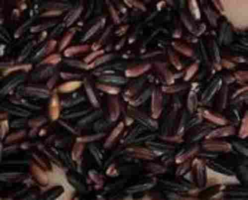 High Nutritious And Minerals Fresh Black Paddy Multi Grain Rice With High Amount Of Fiber