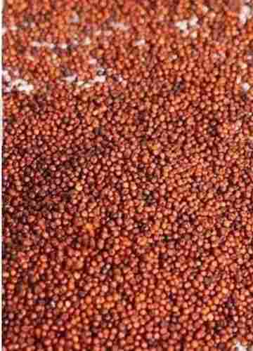 Nutrients Rich Organic B Grade And Raw Red Millet without Added Colors