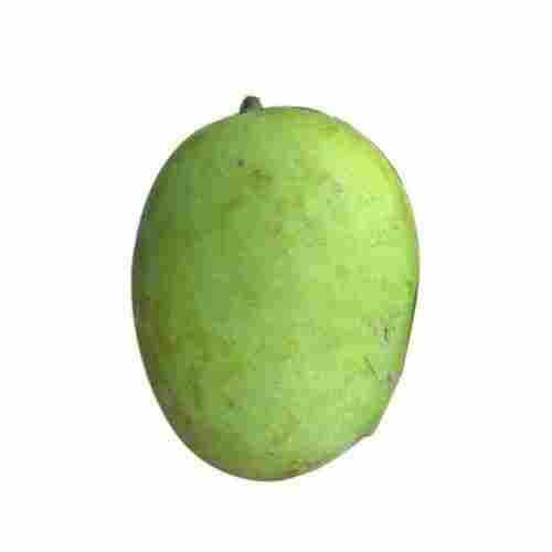 Organically Grown Nutrient Rich Fresh Pieces Of Natural Malda Mango Fruit 