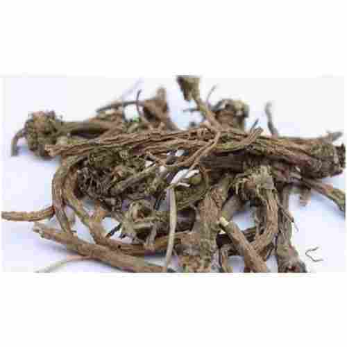 Whole Dried Akarkara (Spilanthes Acmella) Root For Ayurvedic Medicinal Use