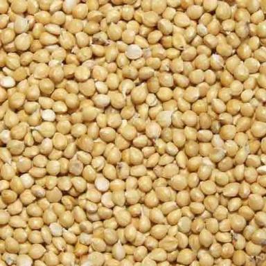 A Grade And Indian Origin White Millet With High Nutritious Values Broken Ratio (%): 1