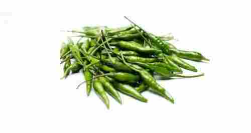 Good For Health Pesticide Free No Artificial Color 100% Organic Small Fresh Green Chilli