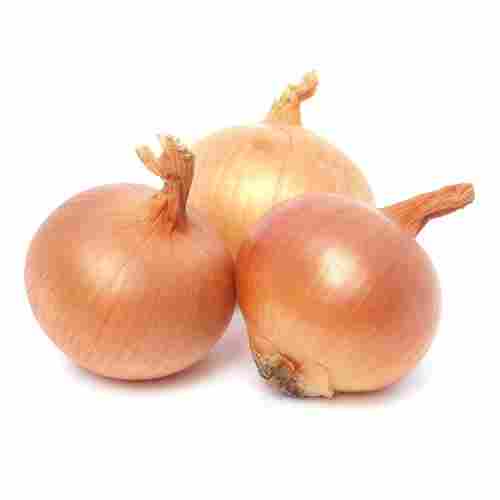 Indian Origin And C Grade Brown Onion With High Nutritious Values