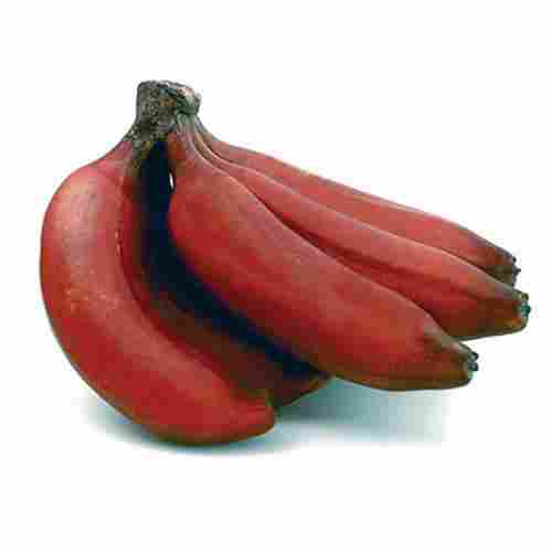 Rich Nutrition Big Size Vitamins, Nutrients And Protein Enriched Red Banana