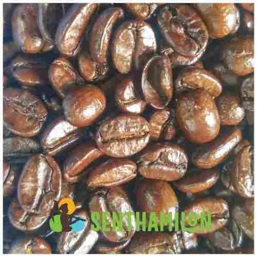 Robusta Roasted Coffee Bean - Cherry AAA