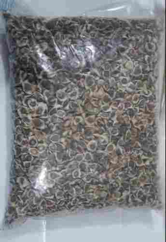 1 Kilogram Natural And Dried Brown Organic Cultivated Moringa Seeds