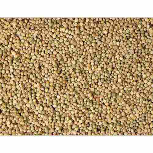 Gluten Free Dried Organic Guar Gum Seeds For Agriculture And Cooking