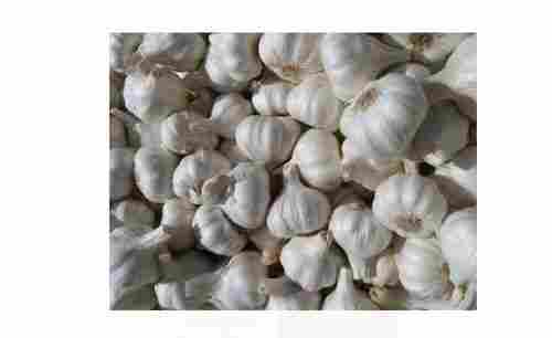 Pack Of 1 Kilogram Organic Raw And Fresh White Garlic