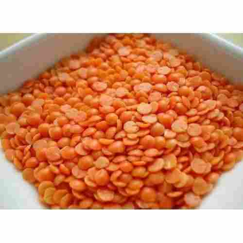 Easy To Cook Rich in Protein Natural Taste Dried Orange Masoor Dal