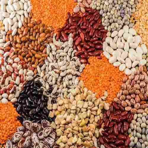 100% Natural and Organic Pulses without Added Color 