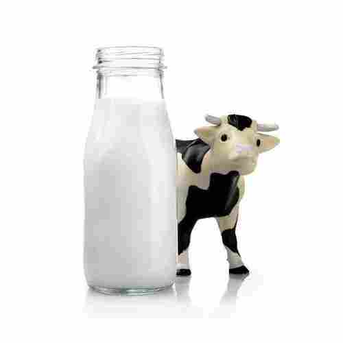 Pure White Color Cow Milk 50 Liter(Strong Teeth And Bones)