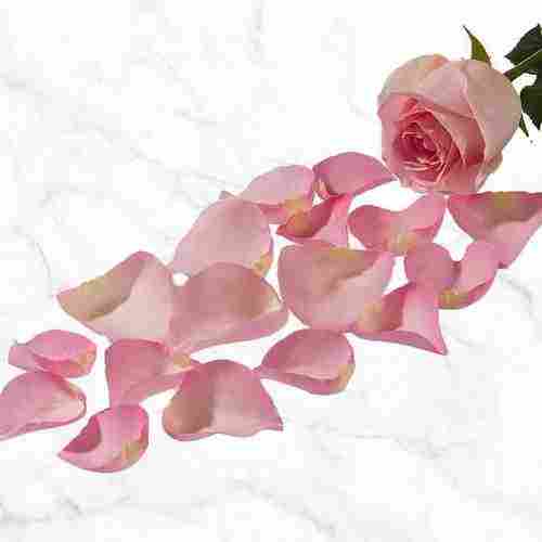 100% Pure And Refreshing Organic And Aromatic Dried Pink Rose Petals 