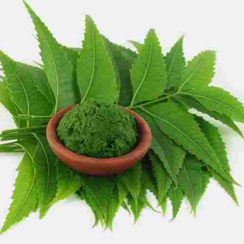 100% Pure Fresh And Natural Herbal Green Neem Leaf Powder 