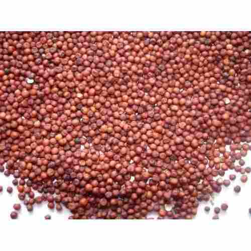 Rich of Dietary Fiber Brown Colour Healthy And Nutrients Rich Natural Ragi Finger Millet