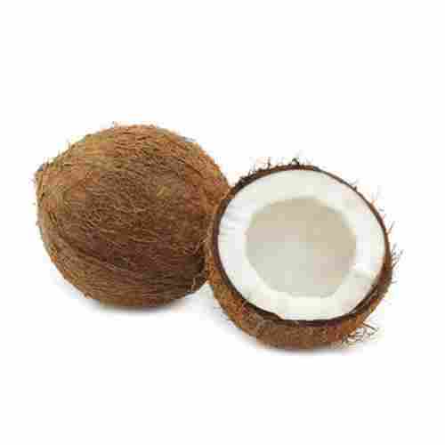 A Grade Natural Farm Fresh Coconut With Vitamin, Dietary Fiber And Minerals Enriched