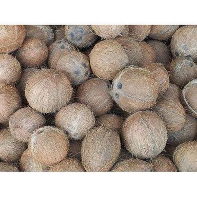 Brown Graded, Sorted And Premium Quality Whole Medium Size Dehusked Coconut