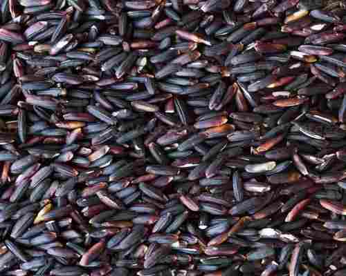 Premium Quality Medium Grain Dried And Cleaned Organic Black Paddy Rice