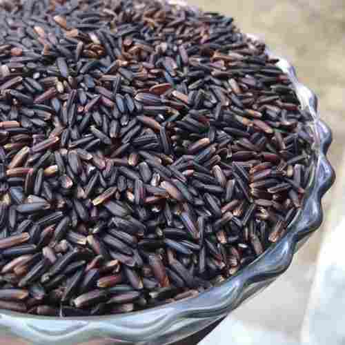 Whole Dried Machine Cleaned Karuppu Kavuni Black Rice