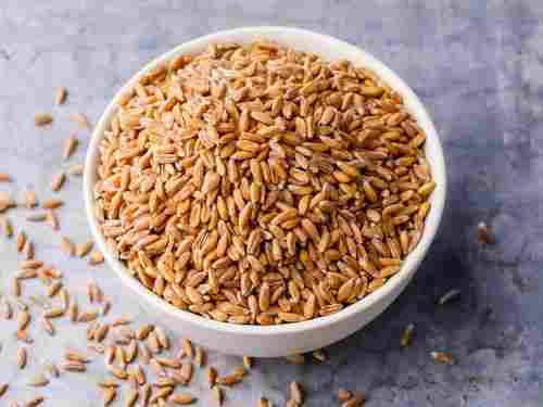 Brown Natural And Raw Organic Dry Wheat With High Nutritious Value