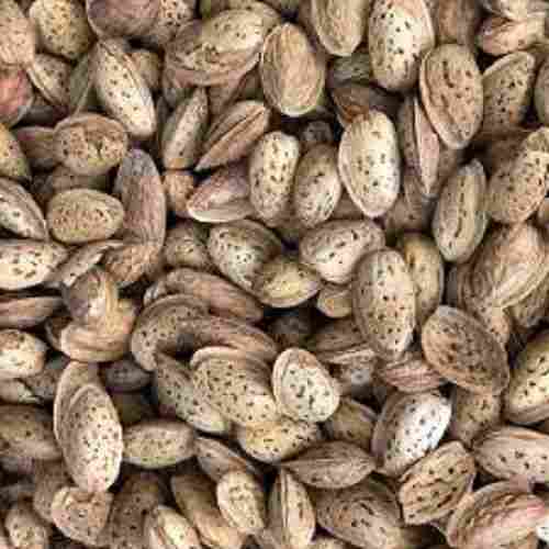 100% Pure And Organic A Grade Almond Nuts With Good Quality