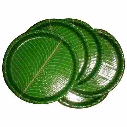 Eco Friendly and Recycled Paper Green Color Leaf Design Circular Disposable Plate 12 Inch