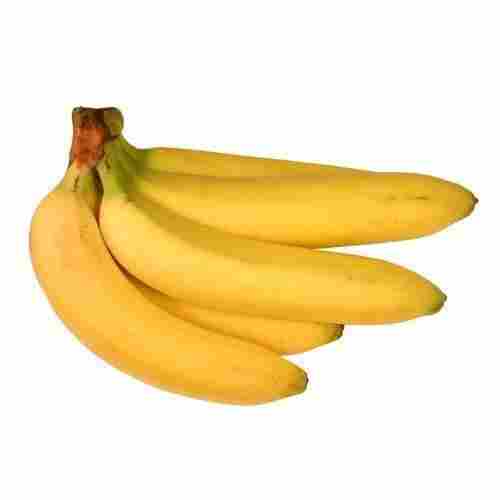 Full of Nutritions Tasty, Healthy, Delicious and Sweet Yellow Cavendish Banana
