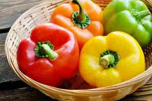 Organic Fresh Coloured Capsicums With Rich In 3 Days And Rich In Vitamin A, C And K