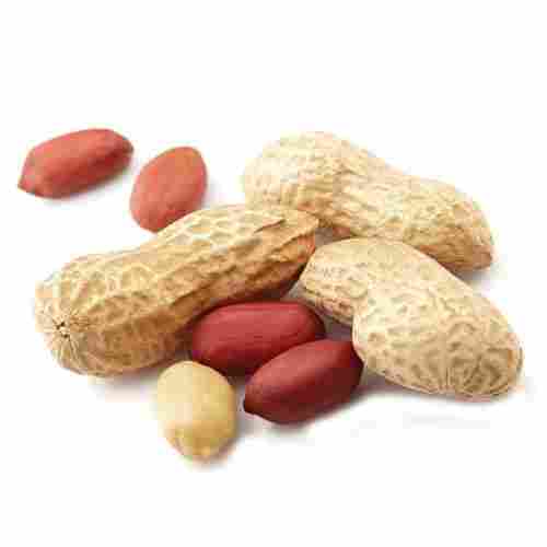 High in Protein, Energy, Fiber, Delicious and Nutritious Healthy Brown Ground Nut