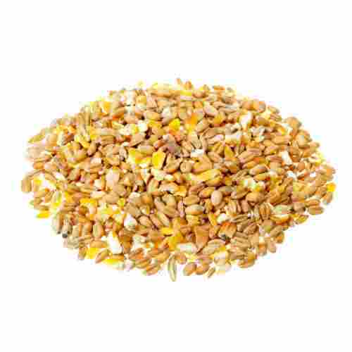 Multiple Health Benefits Nutritious, Delicious Yellow Colour Organic Cereal Grain 