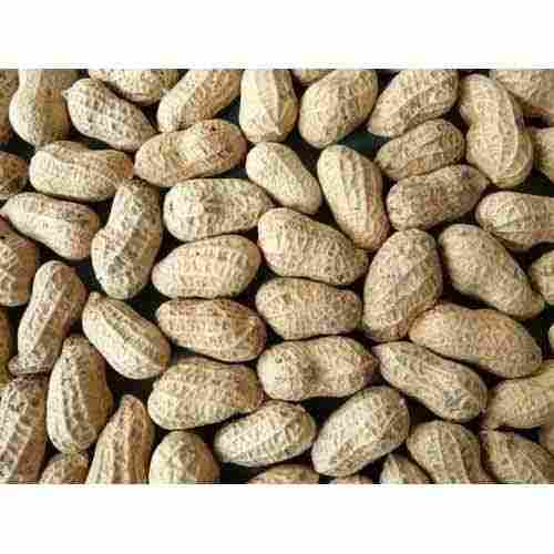 Natural Taste, Sorted, Crunchy, Pure And Healthy Brown Groundnut, Perfect for Snack Time