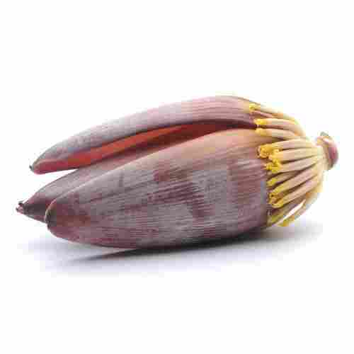 100% Maturity Fresh Banana Flower For Birthday, Party, Home, Hotel, Decoration