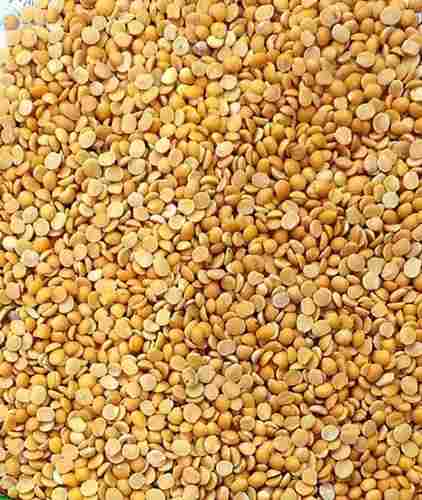 Yellow Colour Toor Dal With Healthy Benefits And 1 Year Shelf Life, Rich In Nutrients