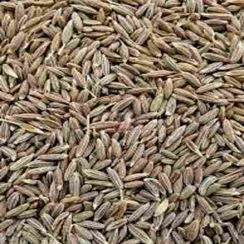 Brown Color Cumin Seed With 6 Months Shelf Life and Rich In Vitamin E