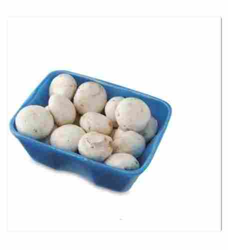 100% Natural White Color Fresh And Organic Healthy Mushroom With 5 Kg Pack