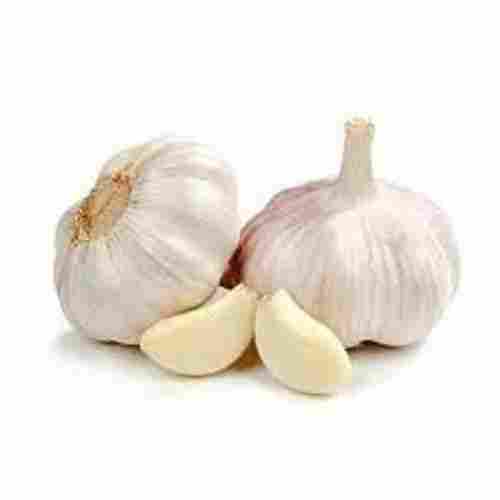 Healthy And Organic Garlic Detoxify The Body And Boost The Immune System