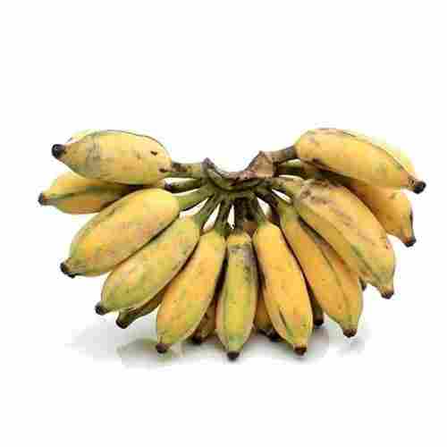 Natural And Fresh Healthy Karpooravalli Banana With 2 Days Shelf Life