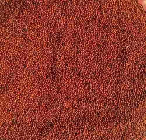 100% Pure Natural And Organic Red Colour Millet For Cooking, Cattle Feed